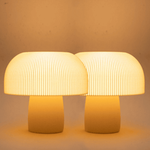 Combo Cogumelo Grande