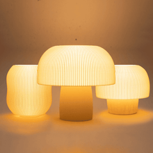 Boluda + Cogumelo G + Cogumelo P